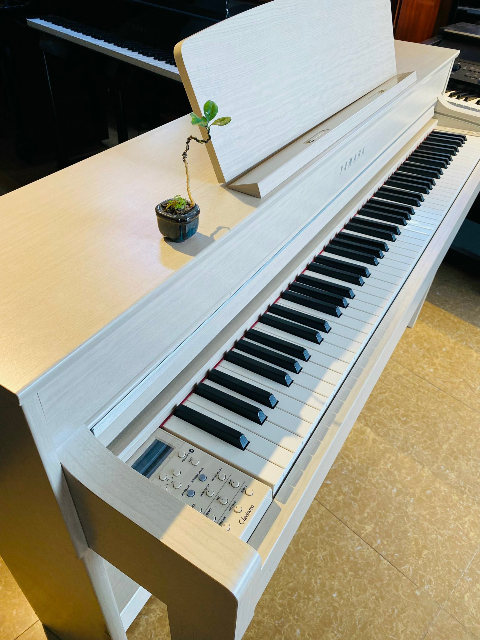 DCB3920E-F4D5-4D13-9E1C-1E4C6C185227