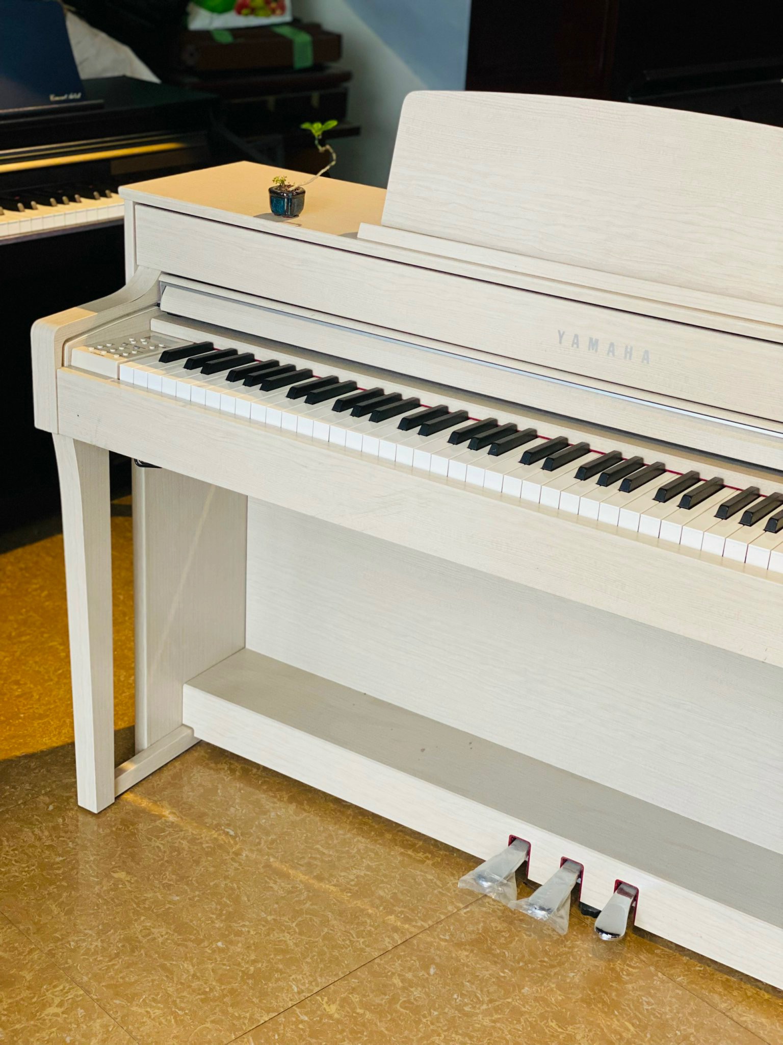 EE865B62-BA79-43BB-A68F-56F6DFF6467D